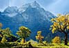 Exclusive Himachal Holiday Tour Package From Delhi