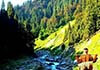 Himachal Holiday Tour Package from Chandigarh