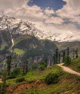 Manali Shimla Honeymoon Package by Volvo