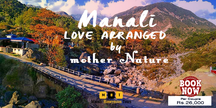 Special Kullu Manali Honeymoon Package by car